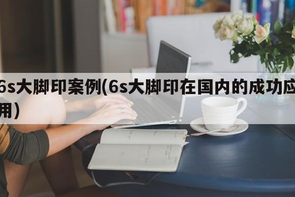 6s大脚印案例(6s大脚印在国内的成功应用)